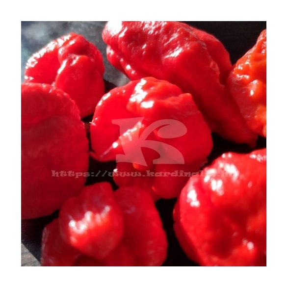 Carolina reaper 10 mag