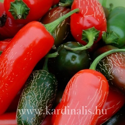 Jalapeno Giant 10 mag - Kardinális chili és növény shop
