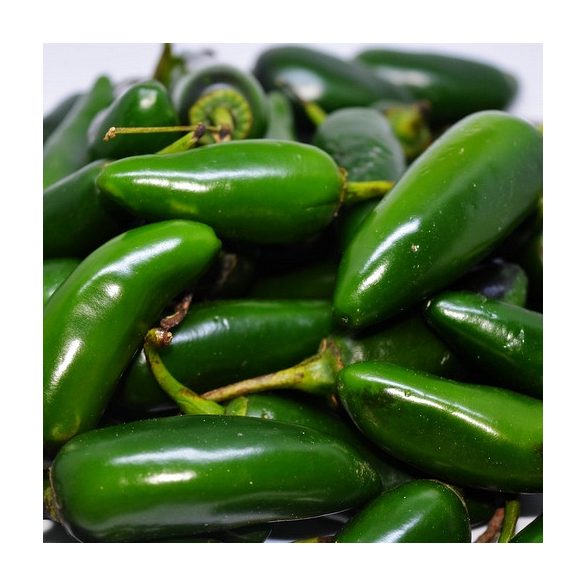 Jalapeno Concos 10 mag.