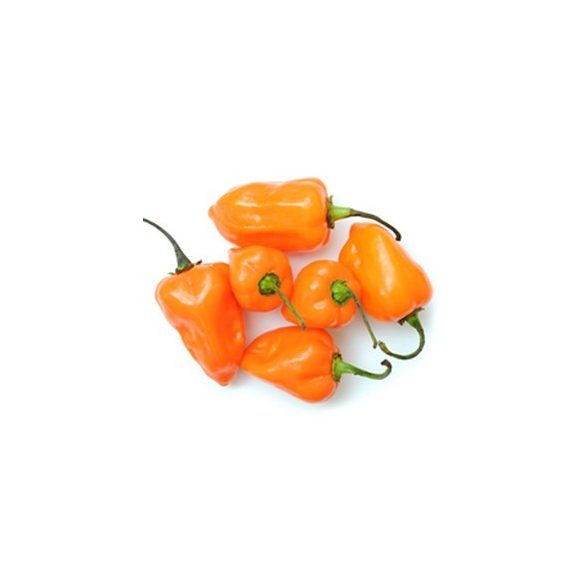 Orange Habanero 10 mag