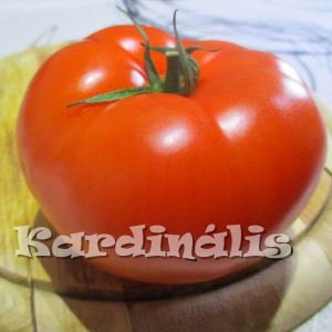 Beefsteak paradicsom 10 mag Beefsteak paradicsom 10 mag