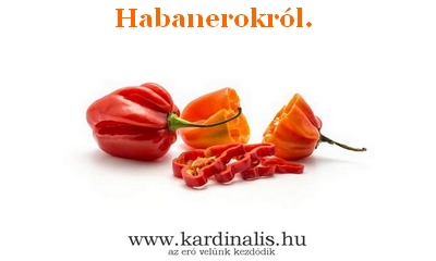 Habanerokról